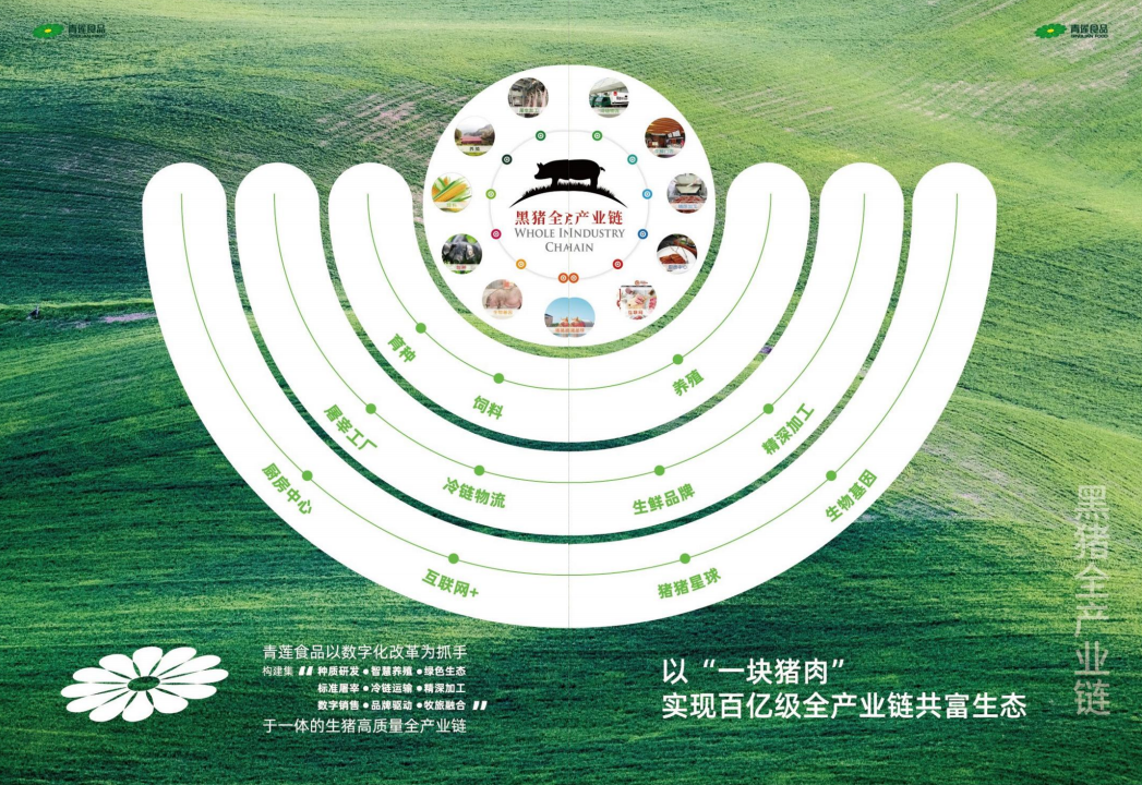 52f044cb7ecda0a553799318fc4e2e2f.png